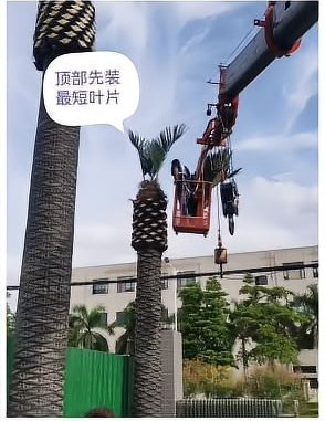 冠顶：先装最短叶片