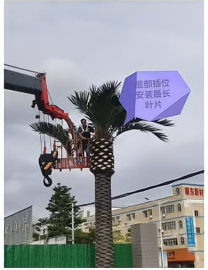 中下部：加长叶片定冠形线