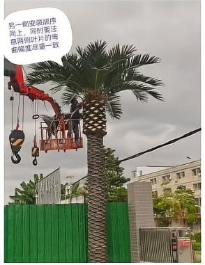 逐层对照参考核验后再固定