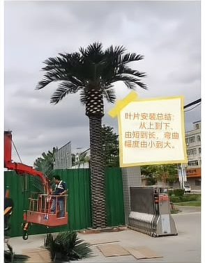 底部一圈：最长叶片收尾，冠形完成