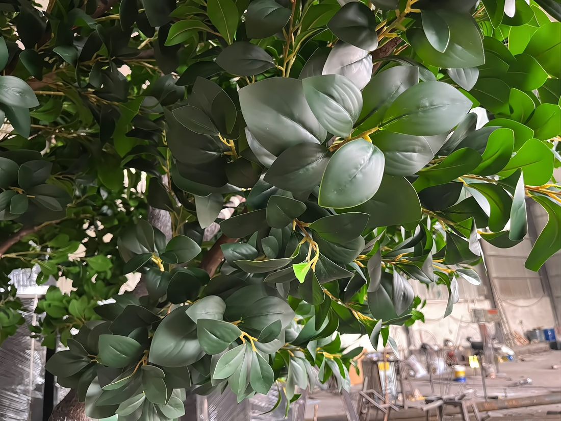 榕叶近景：亮面叶片，枝干配色一致